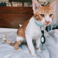 Processed with VSCO with c6 preset